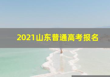 2021山东普通高考报名