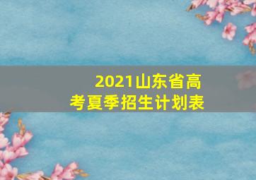 2021山东省高考夏季招生计划表