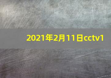 2021年2月11日cctv1