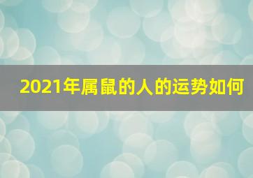 2021年属鼠的人的运势如何