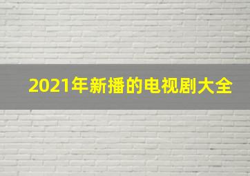 2021年新播的电视剧大全