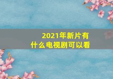 2021年新片有什么电视剧可以看