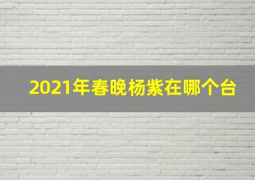 2021年春晚杨紫在哪个台