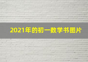 2021年的初一数学书图片