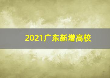 2021广东新增高校