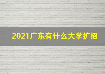 2021广东有什么大学扩招