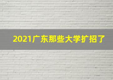 2021广东那些大学扩招了