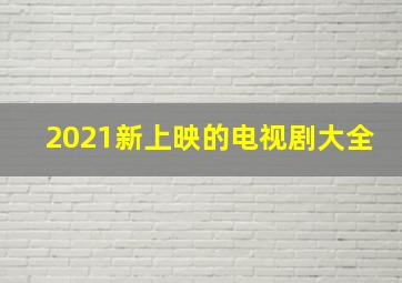 2021新上映的电视剧大全