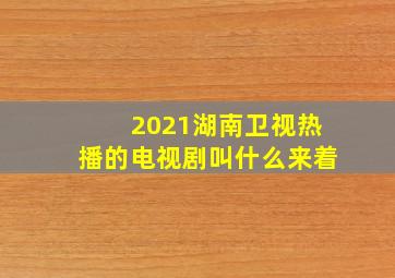 2021湖南卫视热播的电视剧叫什么来着