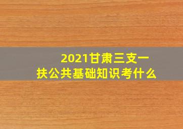 2021甘肃三支一扶公共基础知识考什么