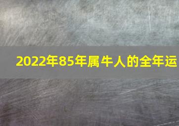 2022年85年属牛人的全年运