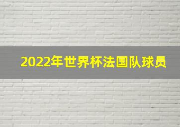 2022年世界杯法国队球员