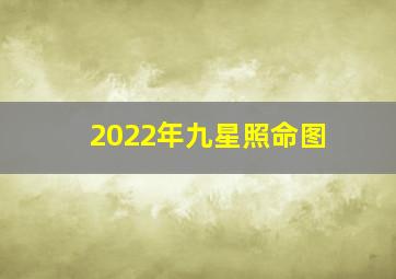 2022年九星照命图