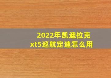 2022年凯迪拉克xt5巡航定速怎么用