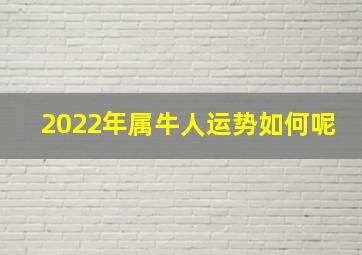 2022年属牛人运势如何呢