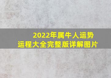 2022年属牛人运势运程大全完整版详解图片