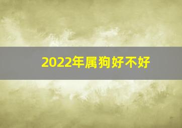 2022年属狗好不好