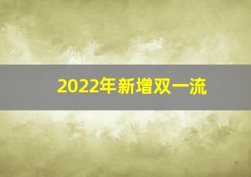 2022年新增双一流