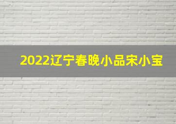 2022辽宁春晚小品宋小宝