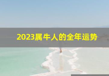 2023属牛人的全年运势