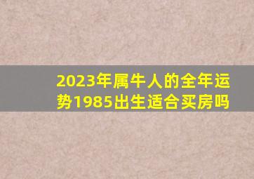 2023年属牛人的全年运势1985出生适合买房吗