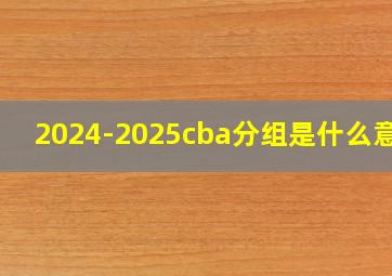 2024-2025cba分组是什么意思