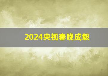 2024央视春晚成毅