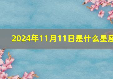 2024年11月11日是什么星座