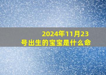 2024年11月23号出生的宝宝是什么命