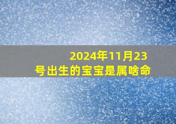 2024年11月23号出生的宝宝是属啥命