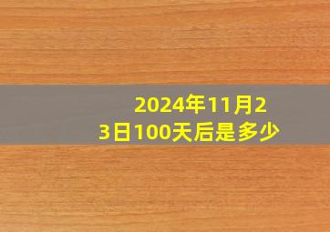 2024年11月23日100天后是多少