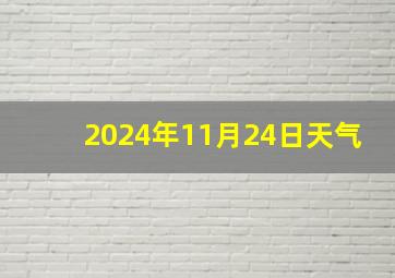 2024年11月24日天气