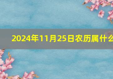 2024年11月25日农历属什么