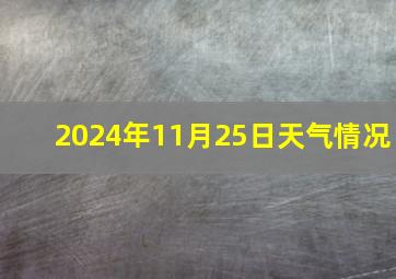 2024年11月25日天气情况