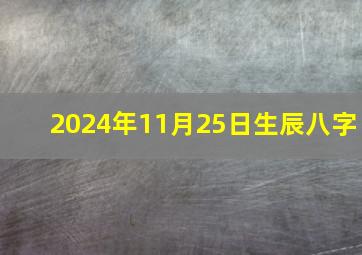 2024年11月25日生辰八字