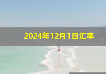 2024年12月1日汇率