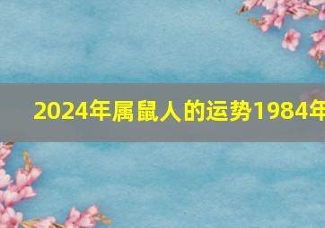 2024年属鼠人的运势1984年