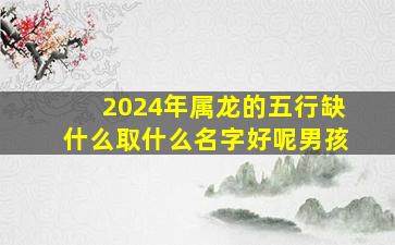 2024年属龙的五行缺什么取什么名字好呢男孩