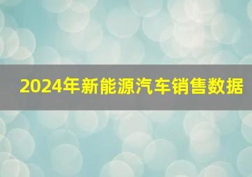 2024年新能源汽车销售数据