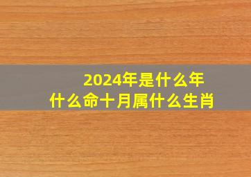 2024年是什么年什么命十月属什么生肖