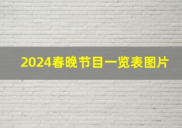 2024春晚节目一览表图片