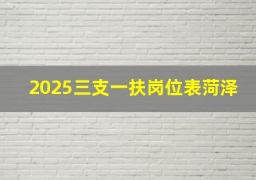 2025三支一扶岗位表菏泽