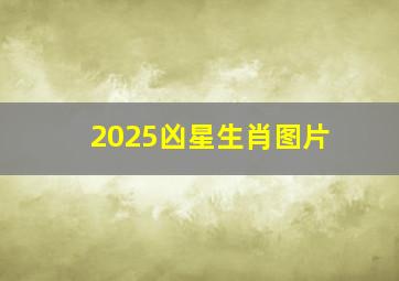 2025凶星生肖图片