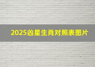 2025凶星生肖对照表图片