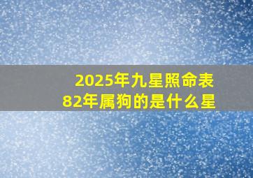 2025年九星照命表82年属狗的是什么星