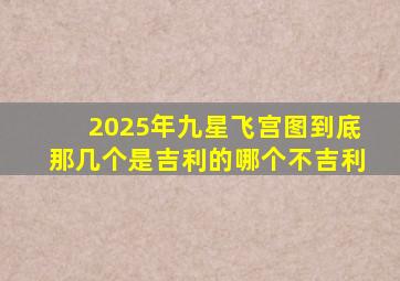 2025年九星飞宫图到底那几个是吉利的哪个不吉利