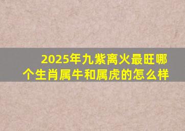 2025年九紫离火最旺哪个生肖属牛和属虎的怎么样