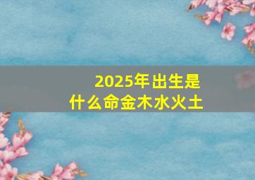 2025年出生是什么命金木水火土