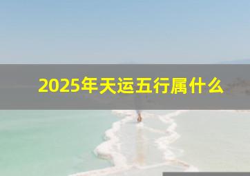 2025年天运五行属什么