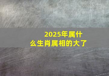 2025年属什么生肖属相的大了